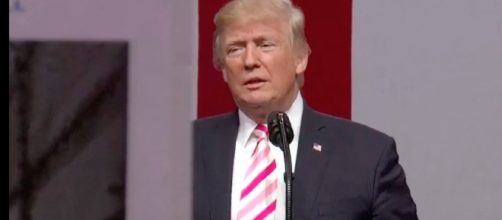 Donald Trump vs. Robert Mueller: Who will win? [Image via YouTube/Based Patriot]