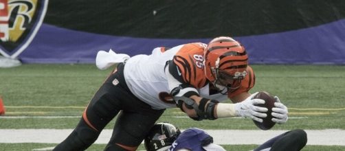 Photo credit: Wikimedia Commons