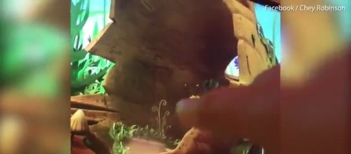 The faint penis image pointed out from 'Maya the Bee' episode 35, formerly on Netflix. / from 'YouTube' (Facebook/Chey Robinson)