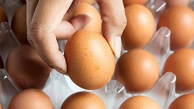 Uova contaminate da insetticida pericoloso: lotti e marca da controllare