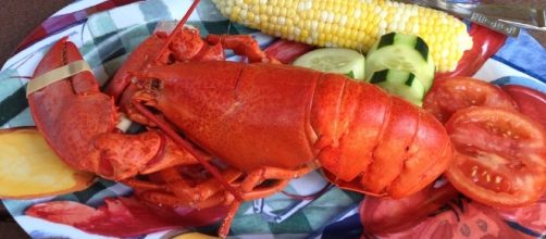 Fish, Dishes - Free pictures on Pixabay -Food, Lobster, Lobster Dinner