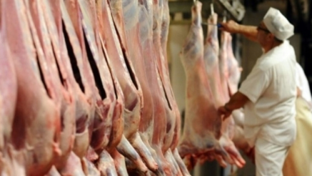 Abattoirs: des &laquo;dysfonctionnements majeurs&raquo; - liberation.fr