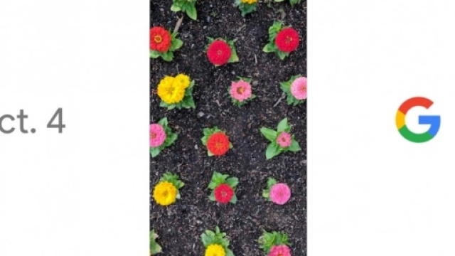 Smartphone Android Pixel: cosa presenter&agrave; Google il 4 ottobre ... - panorama.it