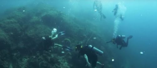 4 plcaes you can go for diving. Image-TFIL/YouTube