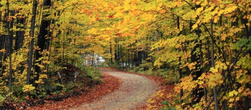 Autumn is here [Image Credit: U.S.Department of Agriculture/Flickr]