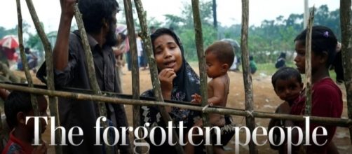 Nik Syahron Nizam (@nsyahron) | Twitter - twitter.com