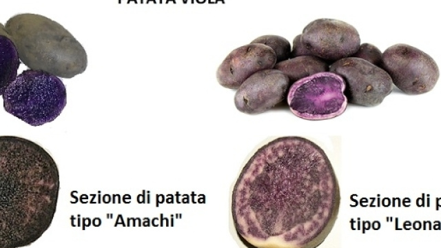 Le &ldquo;vitelotte&rdquo; sono in grado di ridurre gli stati di infiammazione intestinali. Le propriet&agrave; virtuose possono variare a seconda della specie.