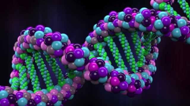 Il patrimonio genetico dei figli &egrave; condizionato dall'et&agrave; dei genitori
