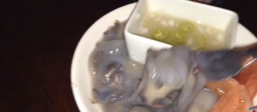 Wild Eats: Eating Woodworm "Tamilok" in Palawan, Philippines! Image - Lucian Fuller | YouTube