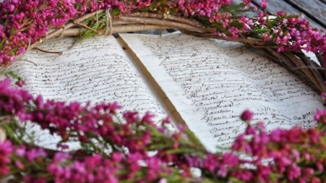 L'erica calluna tanto diffusa in Scozia