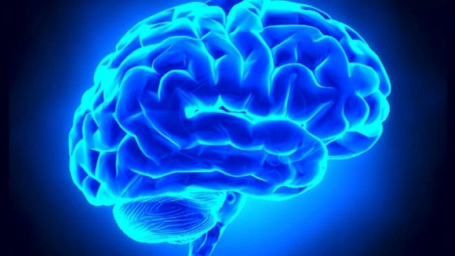 Settimana del Cervello: a Trieste la manifestazione internazionale ... - triesteprima.it