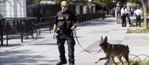 Police near the White House. [Image from Wochit News/Youtube screencap]
