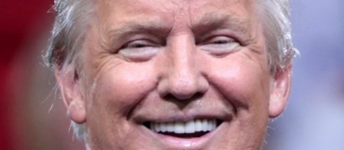 President Donald Trump [Image by Gage Skidmore / flickr]