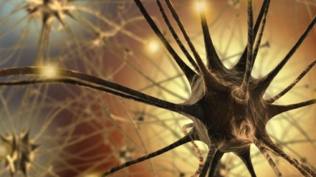 Scoperti i neuroni "taniciti" da alcuni ricercatori inglesi che producono ,nell'organismo,il senso di saziet&agrave;.Fonte:http://www.lastampa.it/