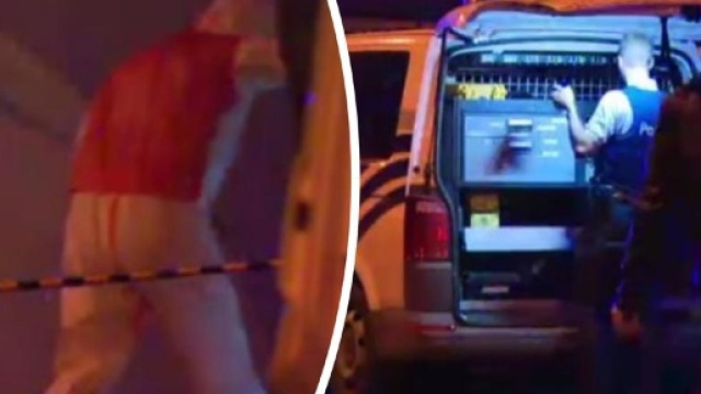 Bimba di due anni grigliata viva sul barbecue - Foto il Mattino -