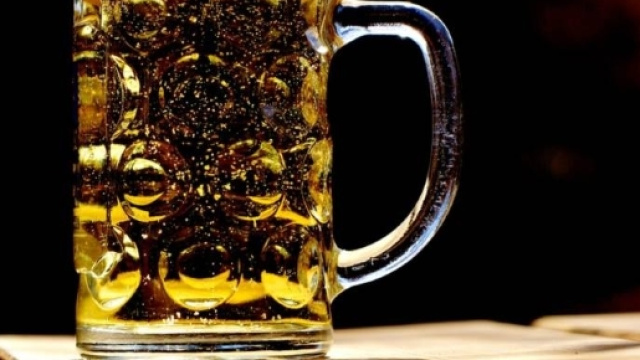 Birra: il luppolo pu&ograve; essere utile nella lotta al cancro - intelligonews.it
