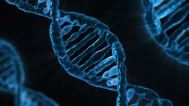 Foto che illustra il DNA umano