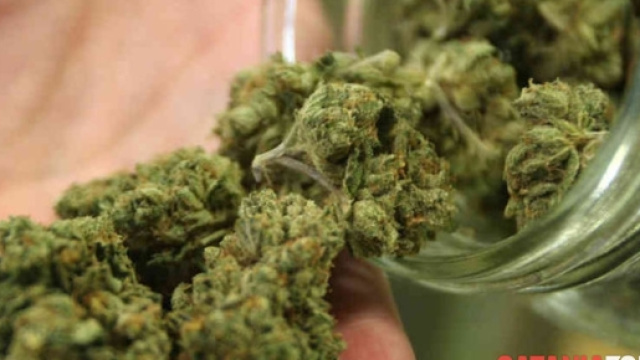 L'escamotage degli spacciatori per vendere marijuana