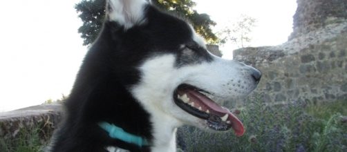 Credit via Andrea Niles | My Own Work