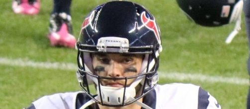 Brock comes back. Jeffrey Beall via Wikimedia Commons