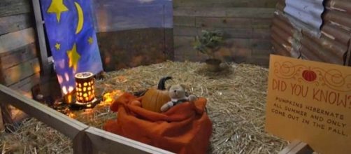 Starbucks announces &ldquo;The magical arrival of the Pumpkin Space Latte&rdquo; on Facebook Live. [Image: Facebook video/Starbucks]