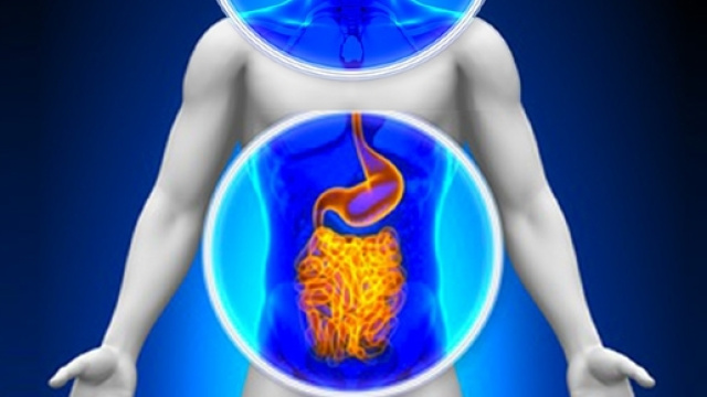 La chiave per l'ansia risiede nell'intestino?
