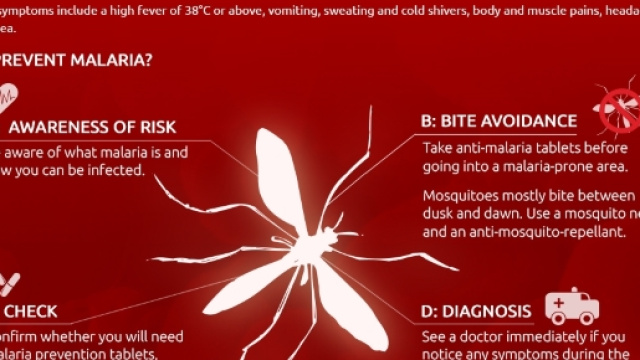 Malaria in Limpopo: Death toll and symptoms - enca.com