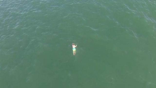 Nuota nell'oceano per sfuggire alla polizia ma vicino a lui c'&egrave; uno squalo pronto ad attaccarlo. Foto: youtube.