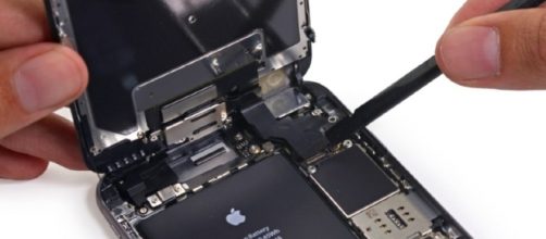 Foto del interior del iPhone 8