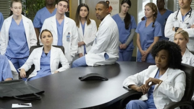 Grey's Anatomy' Is Adding New Characters For Season 14: What We ... - celebrityinsider.org