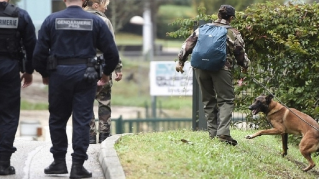 Parall&egrave;lement, les recherches se poursuivent pour retrouver Ma&euml;lys