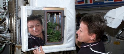 Astronaut Peggy Whitson has returned to Earth after her space missions/ Photo via USDA, Flickr