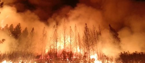 California also suffered extreme wildfires in 2013. File photo of US Department of Agriculture/Public Domain