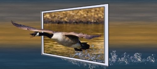 Las aves han estado presentes como s&iacute;mbolo desde el inicio de la cultura humana