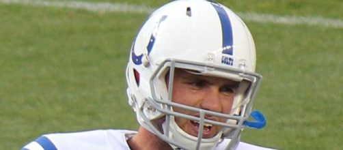 Luck is not healthy today. Jeffrey Beall via Wikimedia Commons