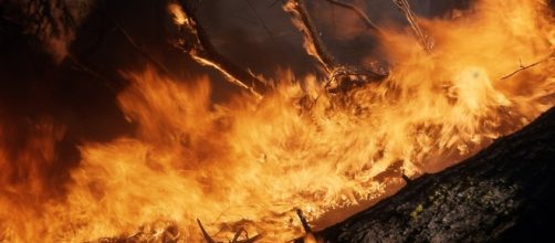 Wildfire - Image via Pixabay..