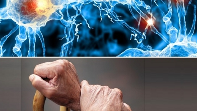 Cellule staminali derivate da cellule del sangue o della pelle, potrebbero curare il Parkinson