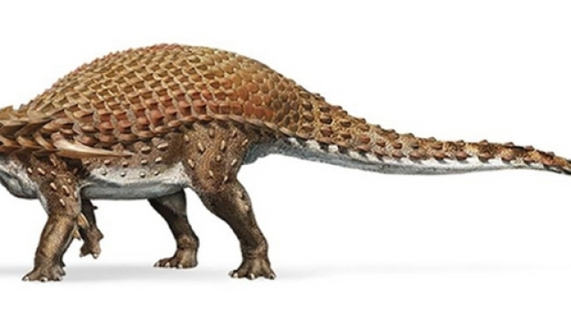 Il Nodosauro era lungo oltre i 5 metri e pesava ben 1300 kg