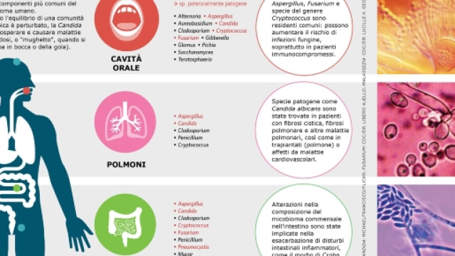 Lo studio del microbioma umano permette di capire anche il metabolismo e le sue patologie