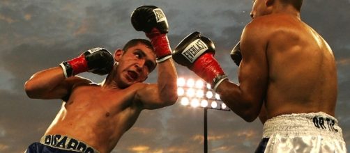 A boxing match in progress.Photo credit https://pixabay.com