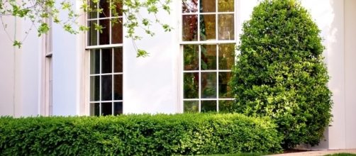 Oval Office where President Trump suddenly sided with Democrats in meeting with Republicans. / [Image - Geoff Livingston - Flickr, CC BY-SA 2.0]