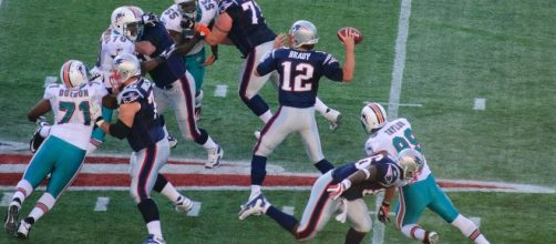 The Dolphins are moving because of Irma. Paul Keleher via Wikimedia Commons