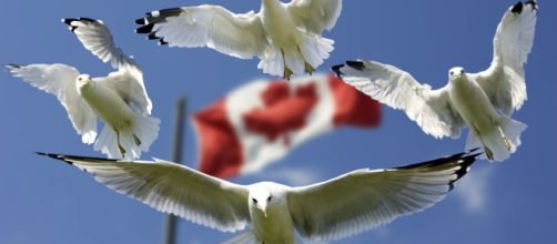 The 'Dreamers' can boost Canada's economy. [Image via Pixabay]