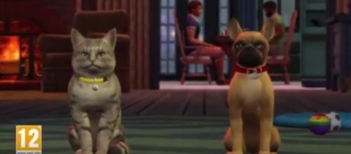 The Sims team offers a slew of images teasing an early look at 'The Sims 4' Cats and Dogs Expansion Pack. The Sims/YouTube