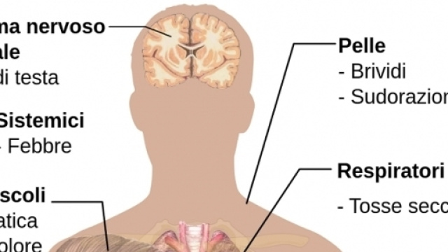Allarma malaria: sintomi e caratteristiche