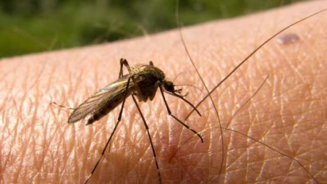 Malaria Prevention and Medication | Passport Health - passporthealthusa.com
