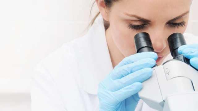 Ricerca e Sviluppo - Erbozeta - erbozeta.com