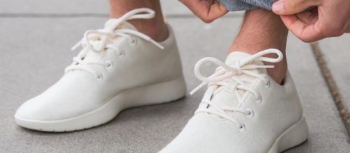 Allbirds wool runners in white via Wikimedia Commons