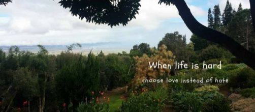 photography and design by Louann Carroll