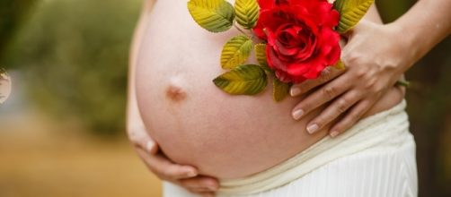 Pregnancy - Image via Pixabay.